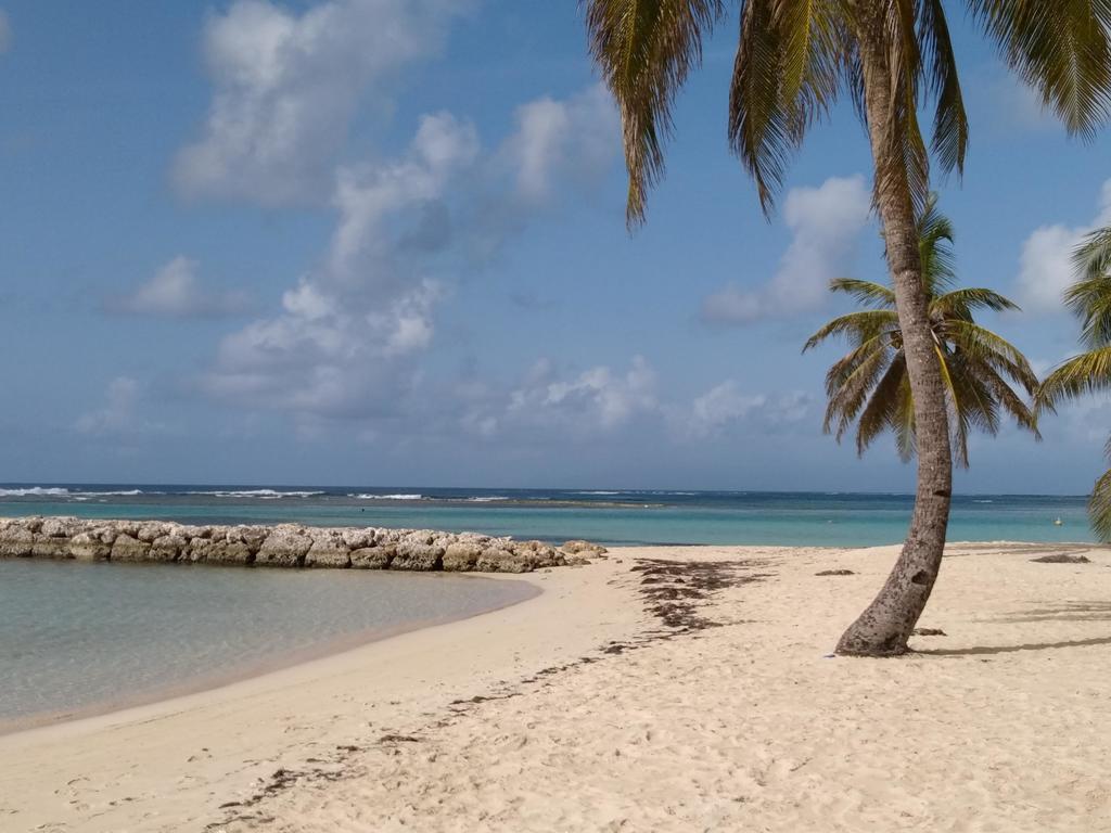 Appartements: Plage & Commerces A 200M Sainte-Anne  Exterior photo